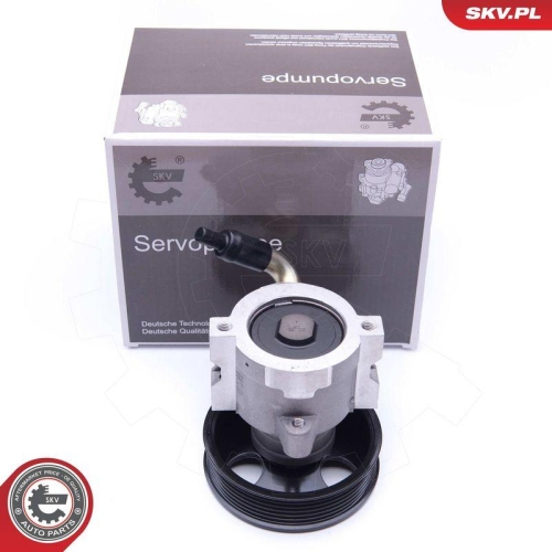 ESEN SKV Hydraulikpumpe, Lenkung 10SKV279