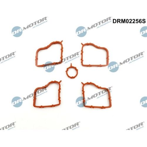 Dr.Motor Automotive Dichtungssatz, Zylinderkopfhaube DRM02256S