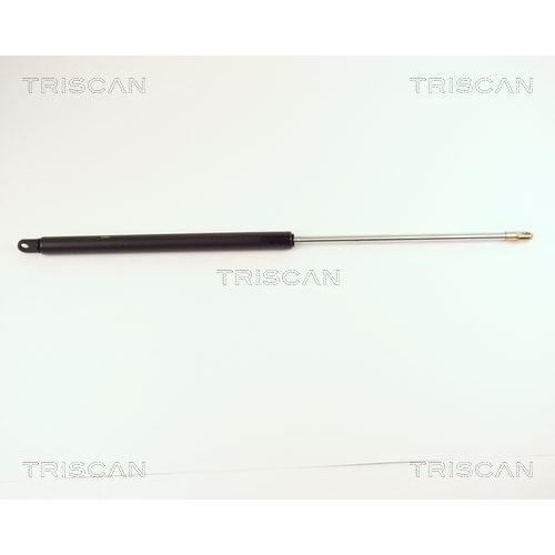 TRISCAN Gasfeder, Koffer-/Laderaum 8710 2904