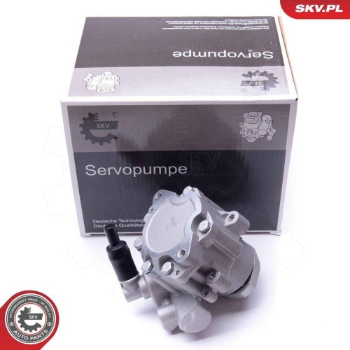ESEN SKV Hydraulikpumpe, Lenkung 10SKV282