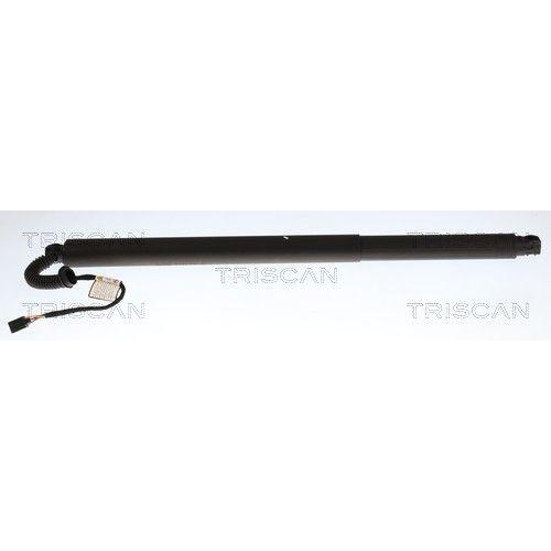 TRISCAN Gasfeder, Koffer-/Laderaum 8710 29341