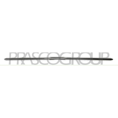 PRASCO Zier-/Schutzleiste, Sto&szlig;f&auml;nger ME4421235