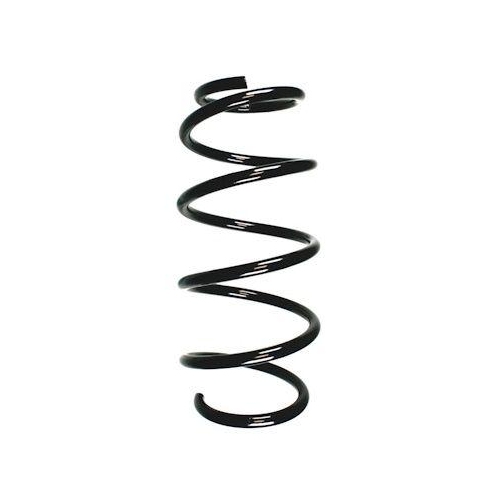SPIDAN Fahrwerksfeder GKNW10042