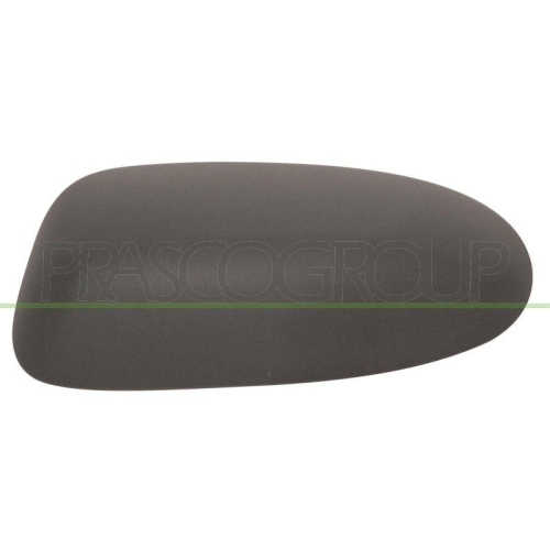 PRASCO Abdeckung, Au&szlig;enspiegel TYC CI0237414
