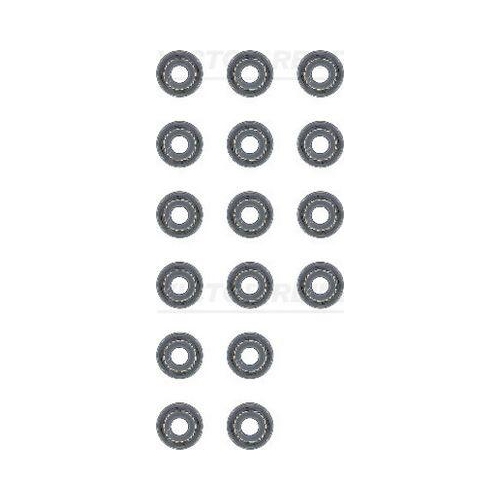 VICTOR REINZ Dichtungssatz, Ventilschaft