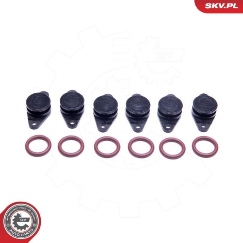 ESEN SKV Reparatursatz, Saugrohrmodul 49SKV559