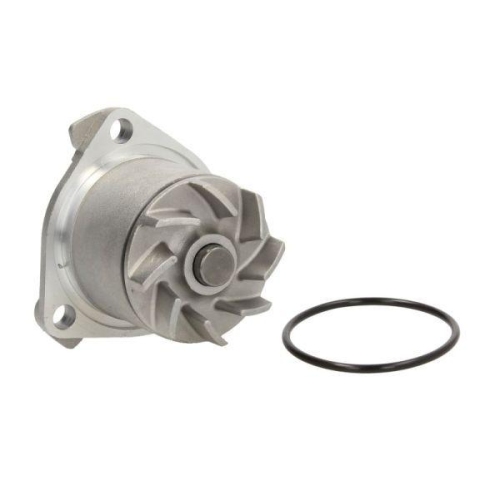 THERMOTEC Wasserpumpe, Motork&uuml;hlung D1W023TT