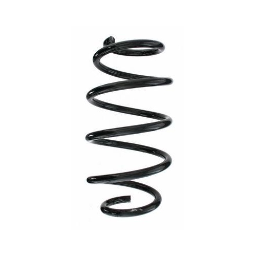 SPIDAN Fahrwerksfeder 87597