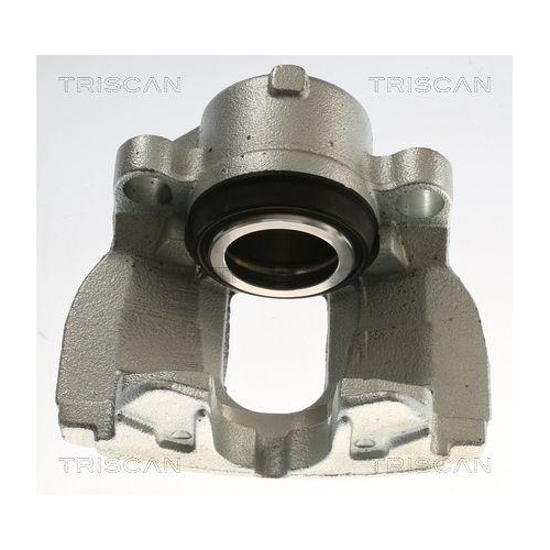 TRISCAN Bremssattel 8175 82101