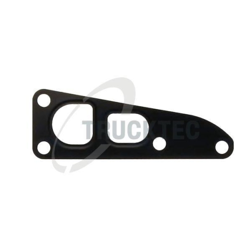 TRUCKTEC AUTOMOTIVE Dichtung, AGR-Ventil 02.19.358
