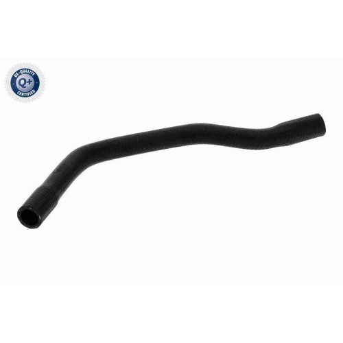 VAICO Kühlerschlauch Q+, Erstausrüsterqualität V10-4892