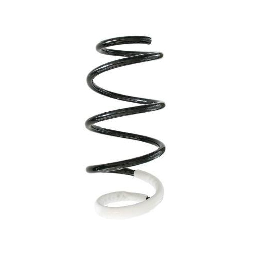 SPIDAN Fahrwerksfeder GKNW10046
