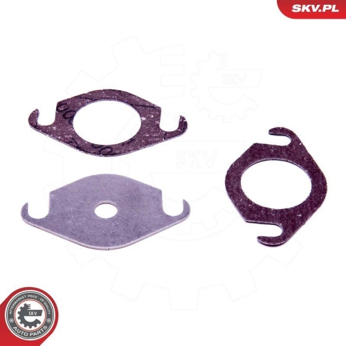 ESEN SKV Reparatursatz, AGR-Ventil 14SKV517