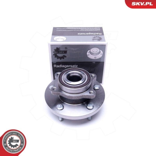 ESEN SKV Radlagersatz 29SKV393