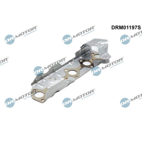 Dr.Motor Automotive Dichtung, Abgaskr&uuml;mmer DRM01197S