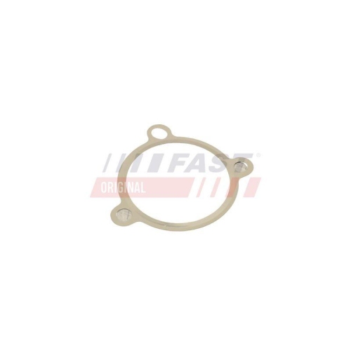 FAST Dichtung, AGR-Ventil FT50605