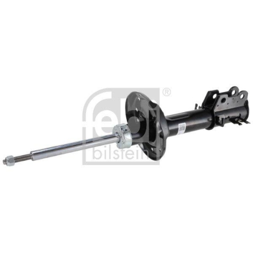FEBI BILSTEIN Sto&szlig;d&auml;mpfer 1002317