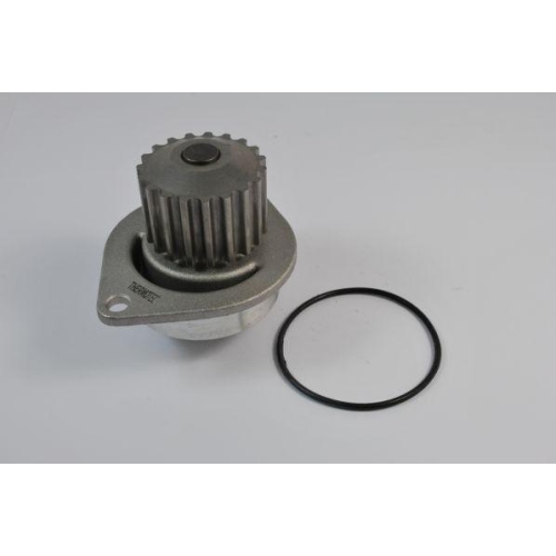 THERMOTEC Wasserpumpe, Motork&uuml;hlung D1P010TT