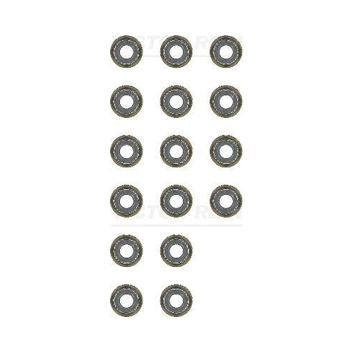 VICTOR REINZ Dichtungssatz, Ventilschaft