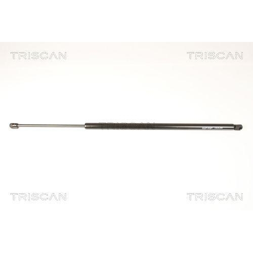 TRISCAN Gasfeder, Koffer-/Laderaum 8710 29295