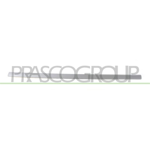 PRASCO Zier-/Schutzleiste, T&uuml;r OP3501413