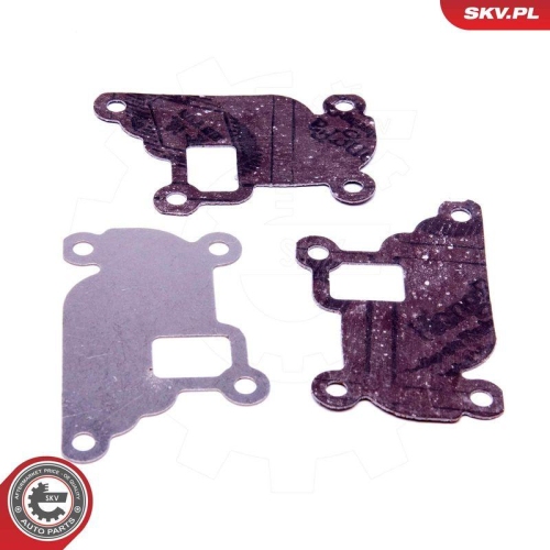 ESEN SKV Reparatursatz, AGR-Ventil 14SKV527