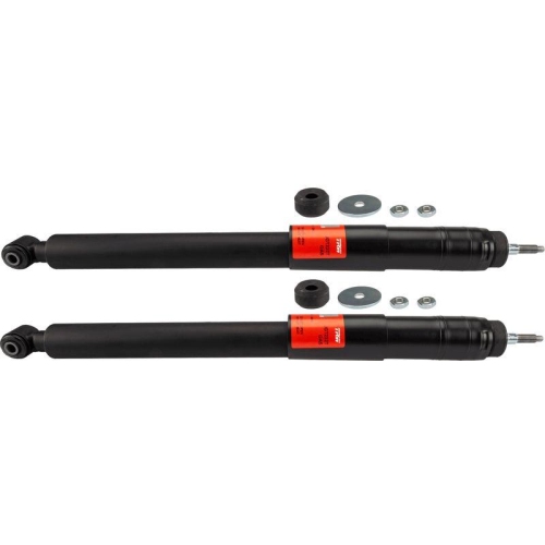 TRW Stoßdämpfer TRW TWIN