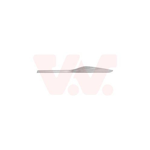 VAN WEZEL Zier-/Schutzleiste, T&uuml;r 4420405