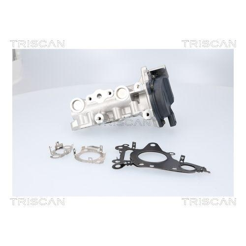 TRISCAN AGR-Ventil 8813 23041