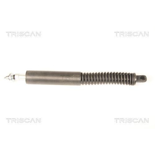 TRISCAN Gasfeder, Koffer-/Laderaum 8710 38228