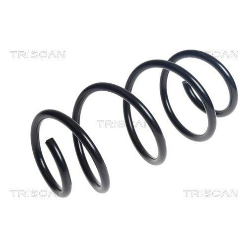 TRISCAN Fahrwerksfeder 8750 29519