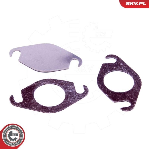 ESEN SKV Reparatursatz, AGR-Ventil 14SKV533