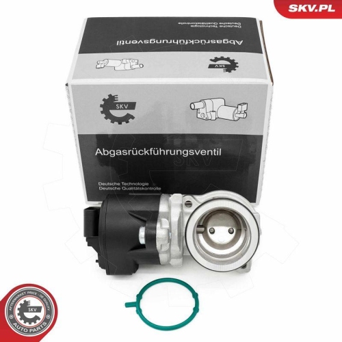 ESEN SKV AGR-Ventil 14SKV275