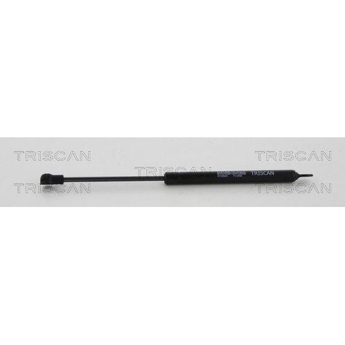 TRISCAN Gasfeder, Heckscheibe 8710 38241