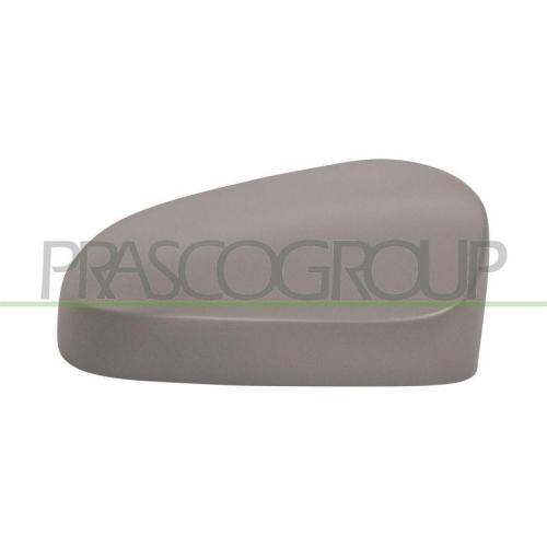 PRASCO Abdeckung, Au&szlig;enspiegel CI2067413