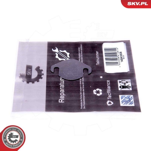ESEN SKV Reparatursatz, AGR-Ventil 14SKV538
