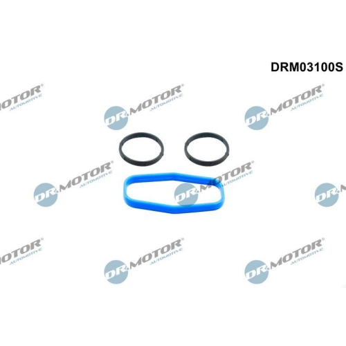 Dr.Motor Automotive Dichtungssatz, &Ouml;lpumpe DRM03100S