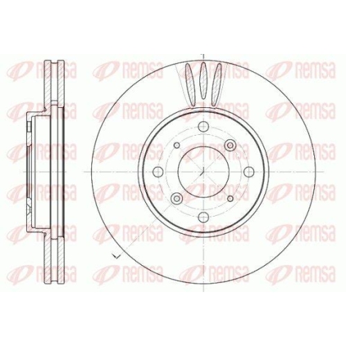 REMSA Bremsscheibe 6641.10