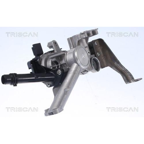 TRISCAN AGR-Ventil 8813 28103