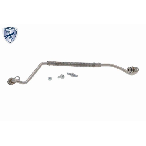 VAICO Ölleitung, Lader EXPERT KITS +