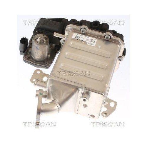 TRISCAN AGR-Ventil 8813 29005