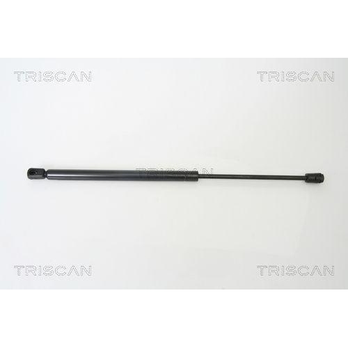 TRISCAN Gasfeder, Koffer-/Laderaum 8710 42235