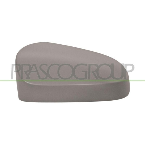 PRASCO Abdeckung, Au&szlig;enspiegel CI2067414