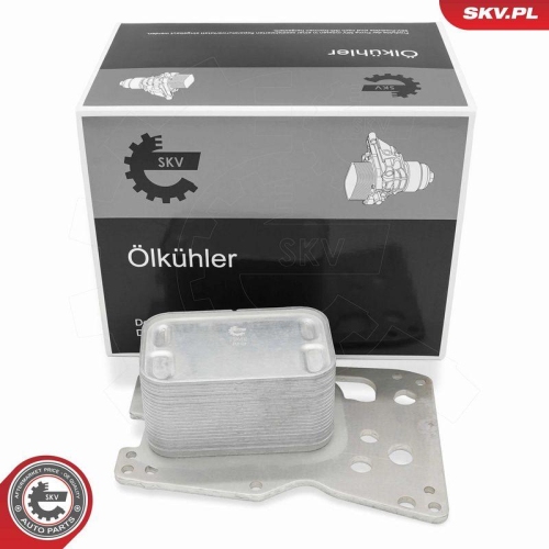 ESEN SKV &Ouml;lk&uuml;hler, Motor&ouml;l 31SKV332