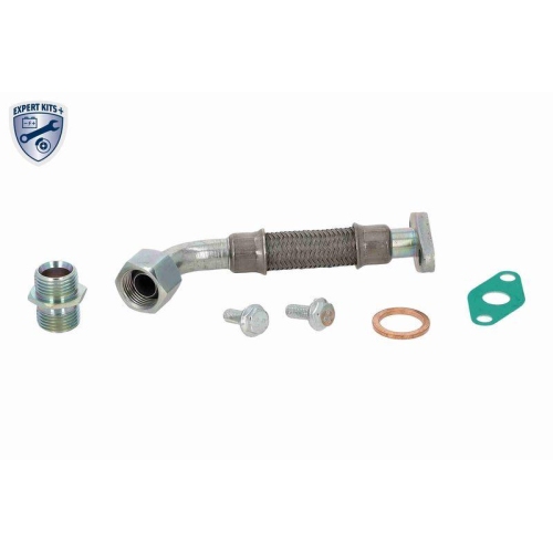 VAICO Ölleitung, Lader EXPERT KITS +