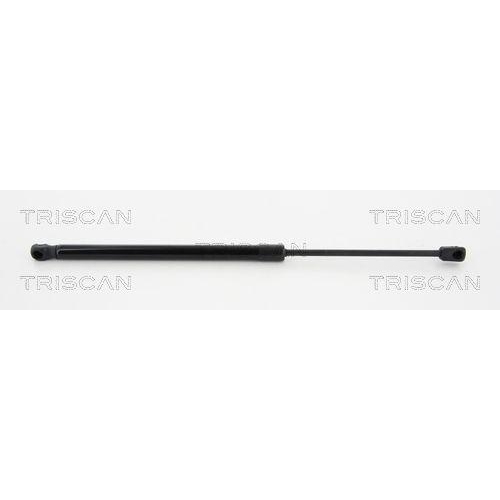 TRISCAN Gasfeder, Koffer-/Laderaum 8710 43234