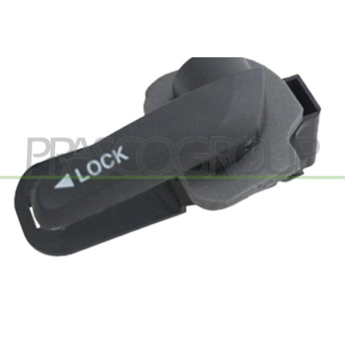 PRASCO T&uuml;rgriff, Innenausstattung FT9098401
