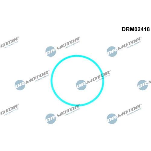 Dr.Motor Automotive Dichtung, Kraftstoffpumpe DRM02418