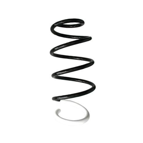 SPIDAN Fahrwerksfeder GKNW10056