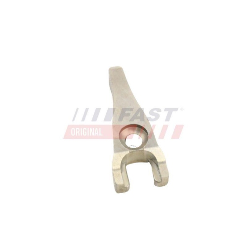 FAST Halter, Einspritzventil FT53801